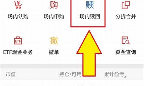 1615基金价格_基金165113