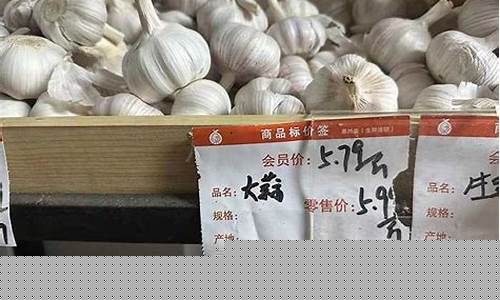 2017大蒜行情价格走势_2017年蒜油价格