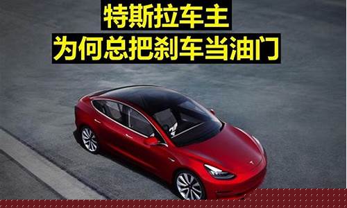特斯拉刹车油价格_特斯拉换刹车油价