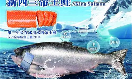 新西兰三文鱼多少钱一斤_新西兰三文鱼油价格多少