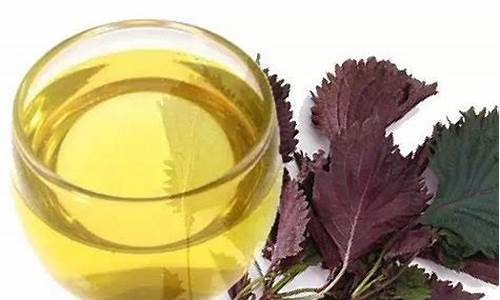 意大利紫苏油价格是多少_意大利紫苏油价格是多少钱一斤
