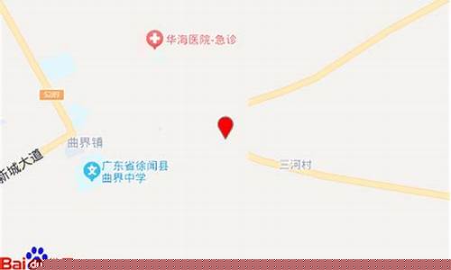 湛江徐闻石化油价多少_徐闻中国石化加油站