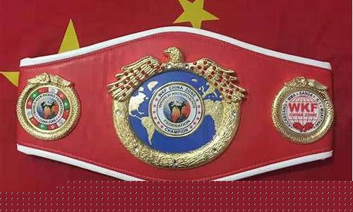 自由搏击能够的奖金价_自由搏击能挣多少钱
