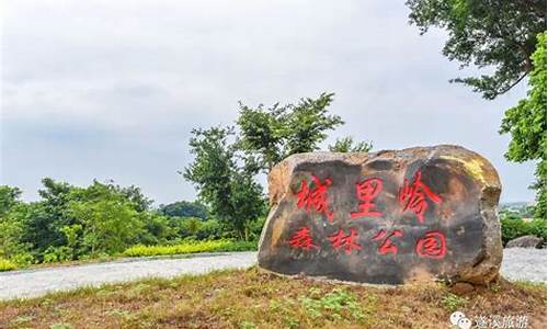 遂溪岭北油价多少_遂溪岭北招聘最新消息