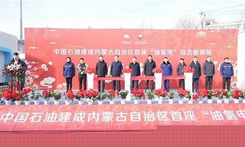 伊金霍洛旗中国石化油价_中国石化销售股份有限公司新疆伊犁石油