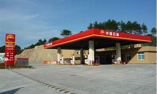 丽水市加油站国六柴油价格_浙江丽水油价92汽油价格