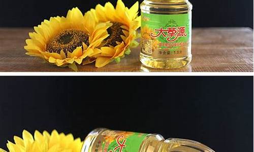 压榨葵花籽油价格_葵花籽压榨花生油