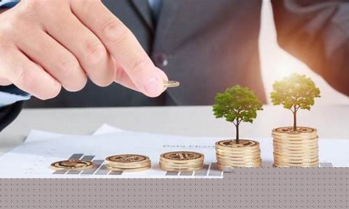 基金价值投资的高手叫什么_价值投资者:世界顶级基金经理的智慧