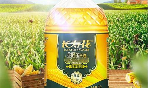 长寿花金胚玉米油500毫升多少钱_长寿花金胚玉米油价格