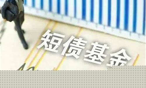 短债基金价格走势_短债基金价格走势分析