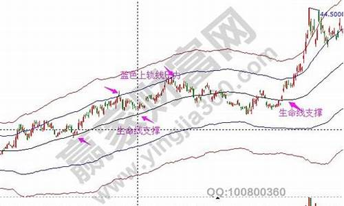 山东金价暴跌原因_山东黄金上涨原因