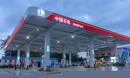 中石化疏港路加油站_中石化盛港街加油站油价