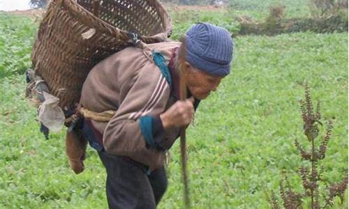 农民退休金价值查询_农民退休养老金