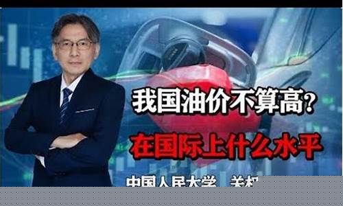 北大教授说油价不高_北大教授最近讲话