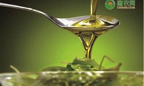 亚麻籽油价格多少一斤_亚麻籽油500克价格
