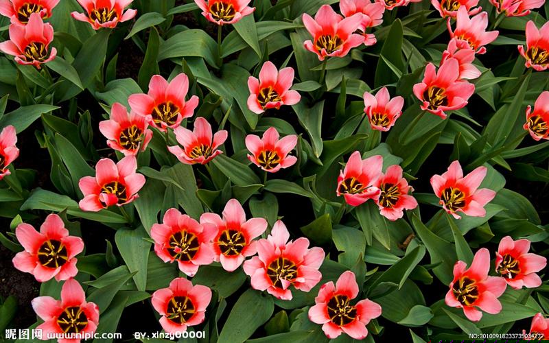 2021年中秋节黄金会降价吗_中秋节金价会涨吗
