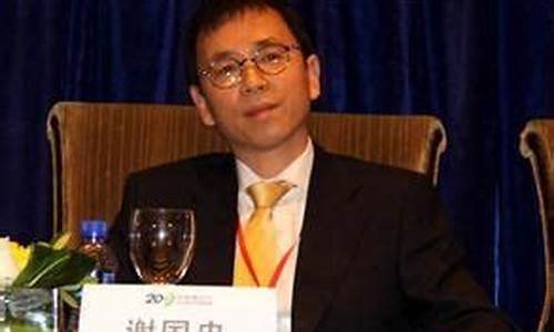 2020谢国忠_谢国忠16年金价