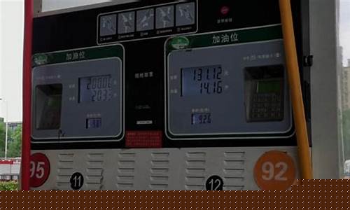油价最高的小排量车有哪些品牌_油价最高的小排量车有哪些