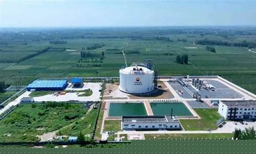 2022河间石化汽油价格_河间中石化油价
