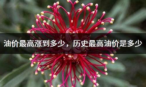 赣州历史最高油价_赣州油价92汽油价格