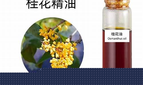 桂花油贵吗_山西省桂花油价格
