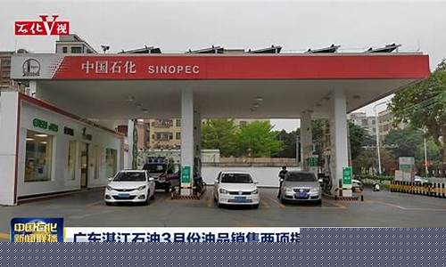广东湛江石化油价_广东湛江石化油价多少