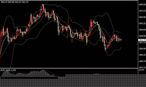 健康金价走势分析_金价实时走势预测