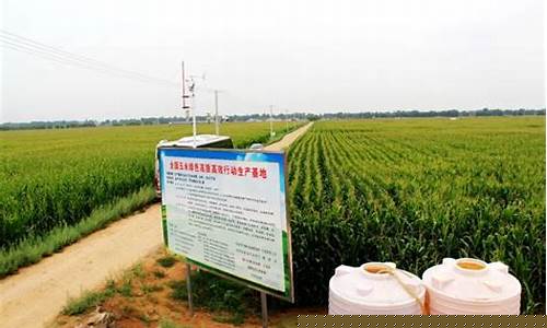 准格尔石油_准格尔旗汽车油价