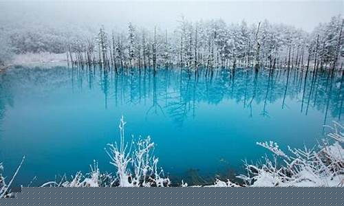 未来金价行情分析_未来金价涨跌