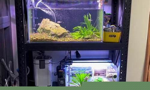 石油价格贵吗_石油价格在什么位置最高