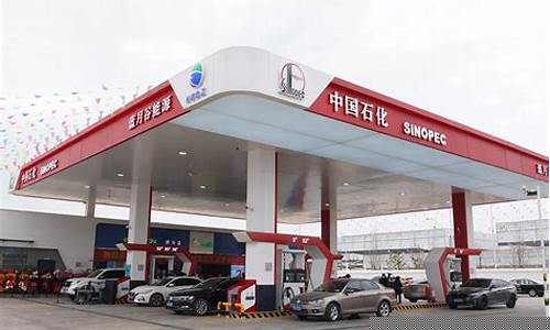 经开区经南五路加油站油价_郑州经开区加油站地址