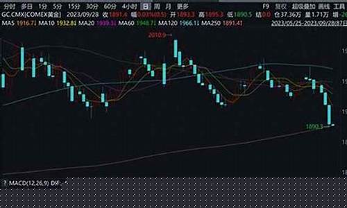 2021金价行情图_金价实时行情2023年1月