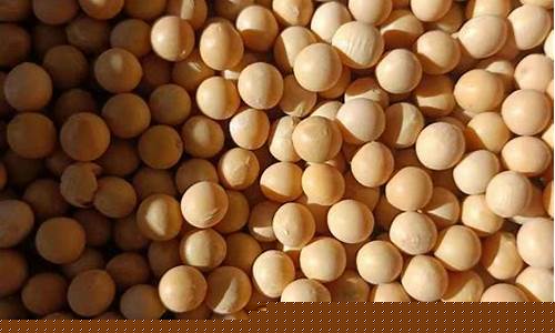 绥化非转基因大豆油价格查询_绥化非转基因大豆油价格
