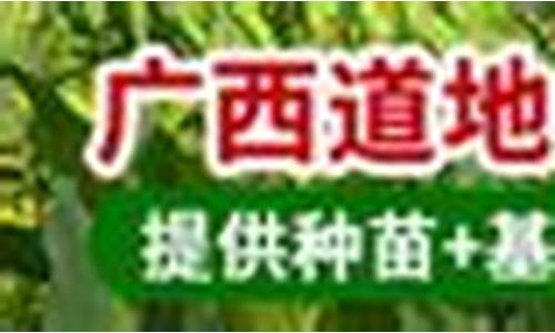 郁金香的市场价_安国市场郁金价格