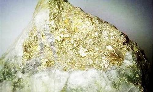 平地木海中金价格_平地木与海中金